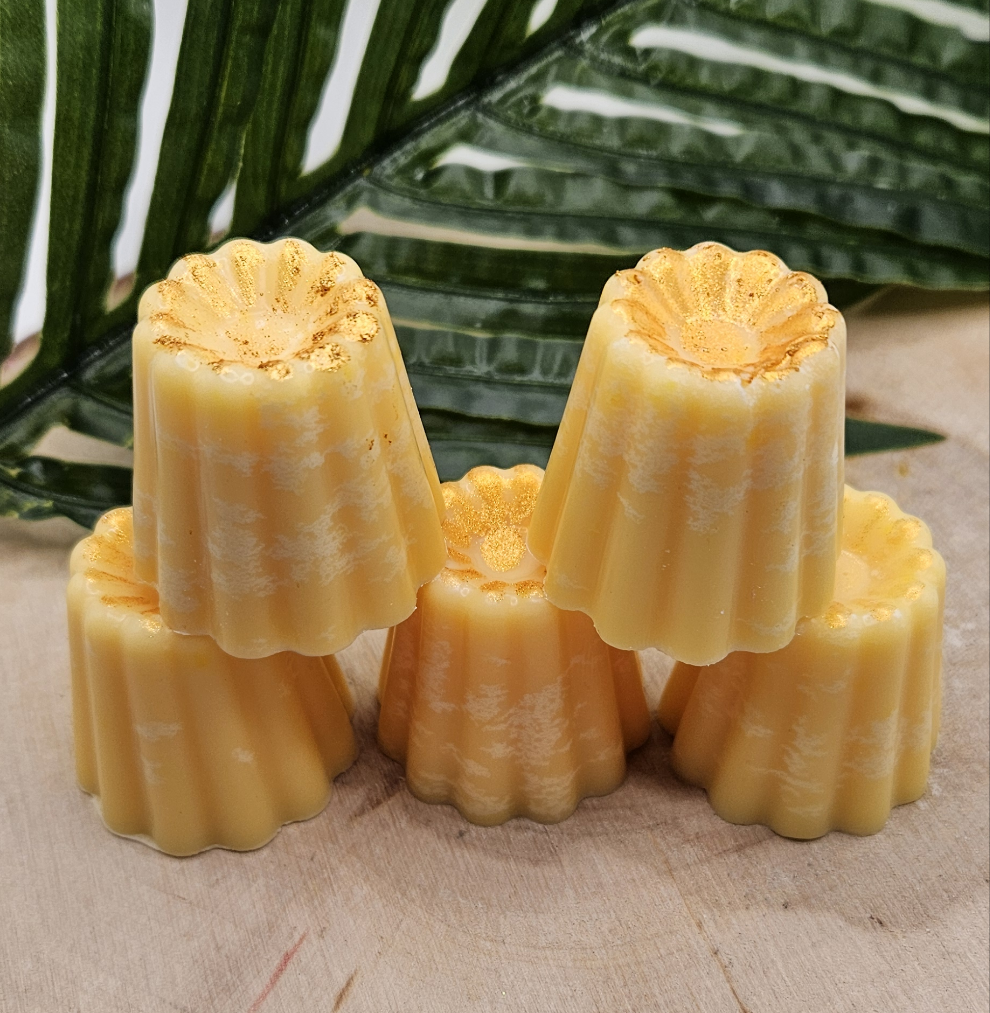 Cannelé - Mimosa